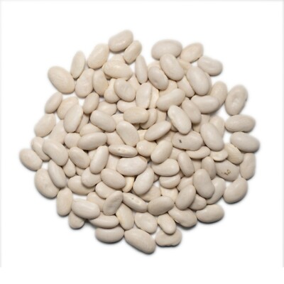 Bulk Organic Great Northern Beans (25 Lb. Bag)