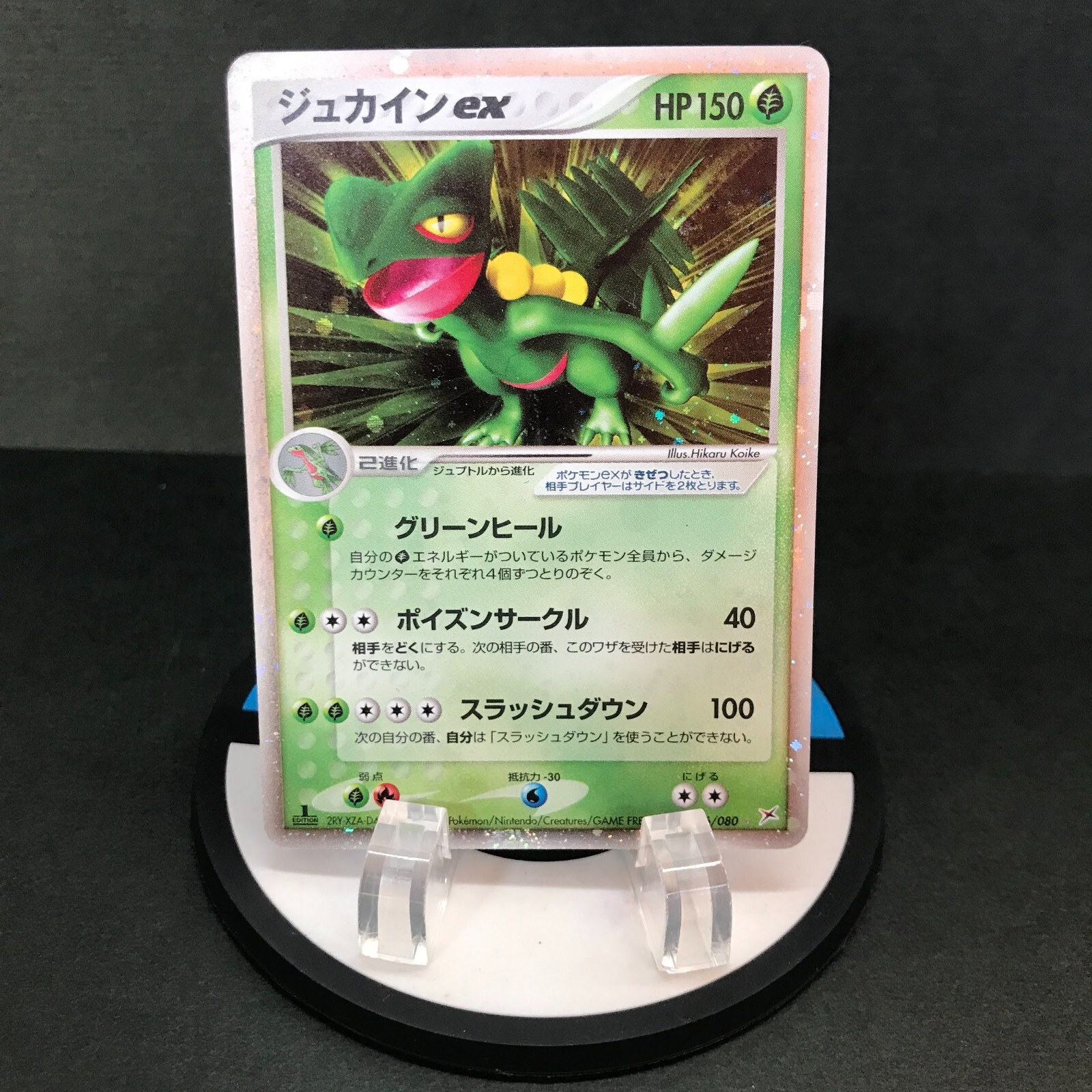 PSA10 ポケモンカード ジュカインex マグマvsアクア ジュカイン