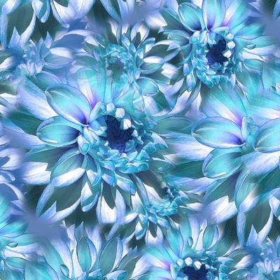 Bloom-Cornflower-Hoffman Fabrics-Digital Print-BTY