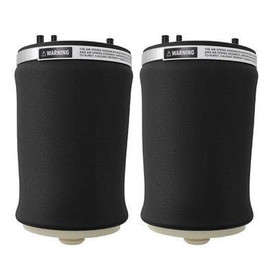 2X Sac arrière gauche et droit ressort suspension d'air for BMW E53 X5 00-2006