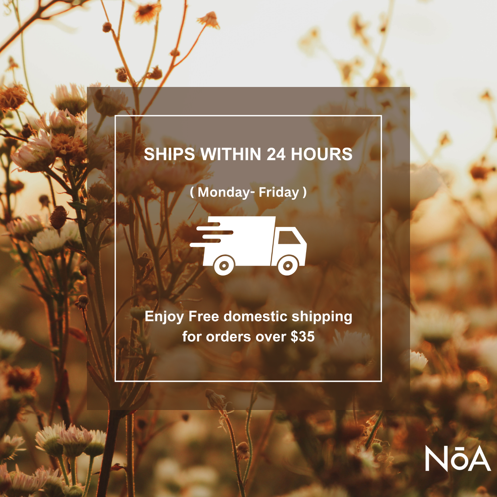 Comfrey Oil | Organic | Lemon Balm + Coconut Oil | High Potency