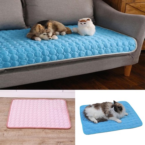 Pad Cushion Ice Silk New