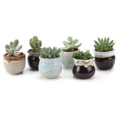 T4U Small Ceramic Succulent Pots with Drainage Set of 6, Mini Pots for Plants...