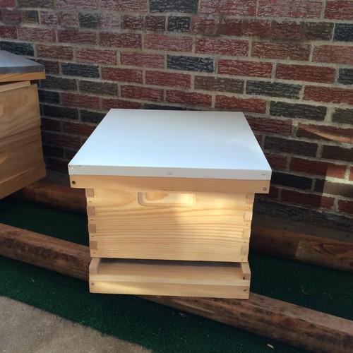 10 Frame Bee Hive  Complete  Fully Assembled ,Honeybee Pollinator,great Gift
