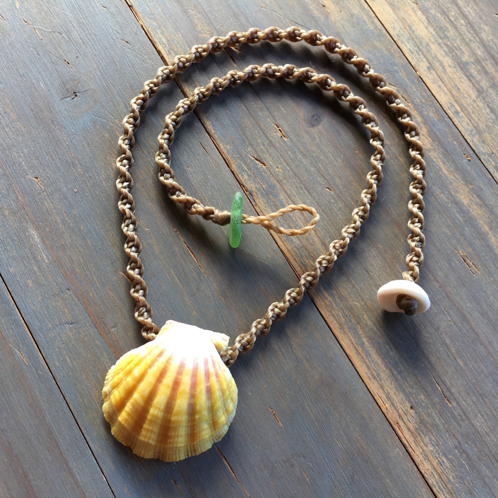 Classic Hawaiian sunrise shell necklace with ridges