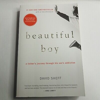 Beautiful Boy - Fathers Journey Through His Sons Addiction - David Sheff