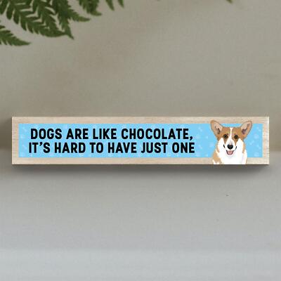 Thechocolatecorgi The Chocolate Corgi Corgi Like Chocolate Hard To