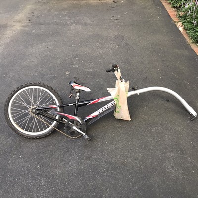 pacific tag along bike hitch