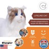 Chongker Stuffed Animals Handmade Realistic Cat Plush Toy Companion Pet for Elderly Adults Women Kids Cat Lover Surprise Gifts for Anniversary Birthday,Ragdoll Cat