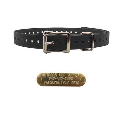 3/4'' Basic Dog Collar with Brass Name Plate