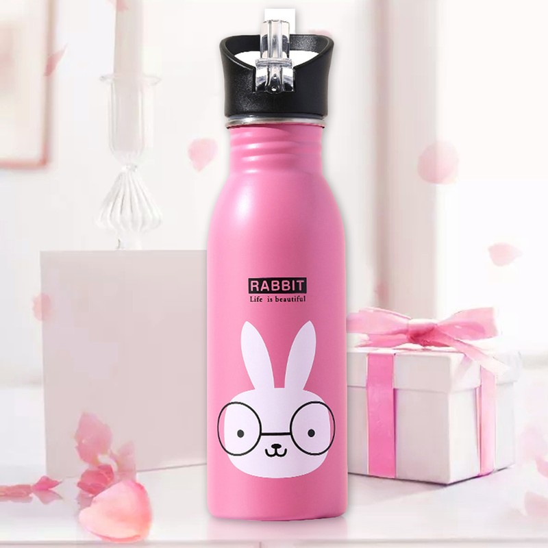 500ml Stainless Steel Insulated Water Bottle