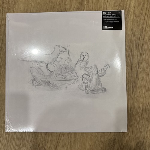 Big Thief Dragon New Warm Mountain VMP Vinyl Me Please Green