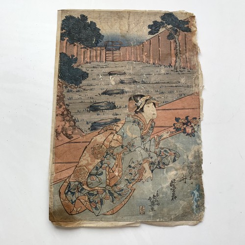 日本山草図譜 Bunsai Ioki 日本山草図譜 Bunsai Ioki