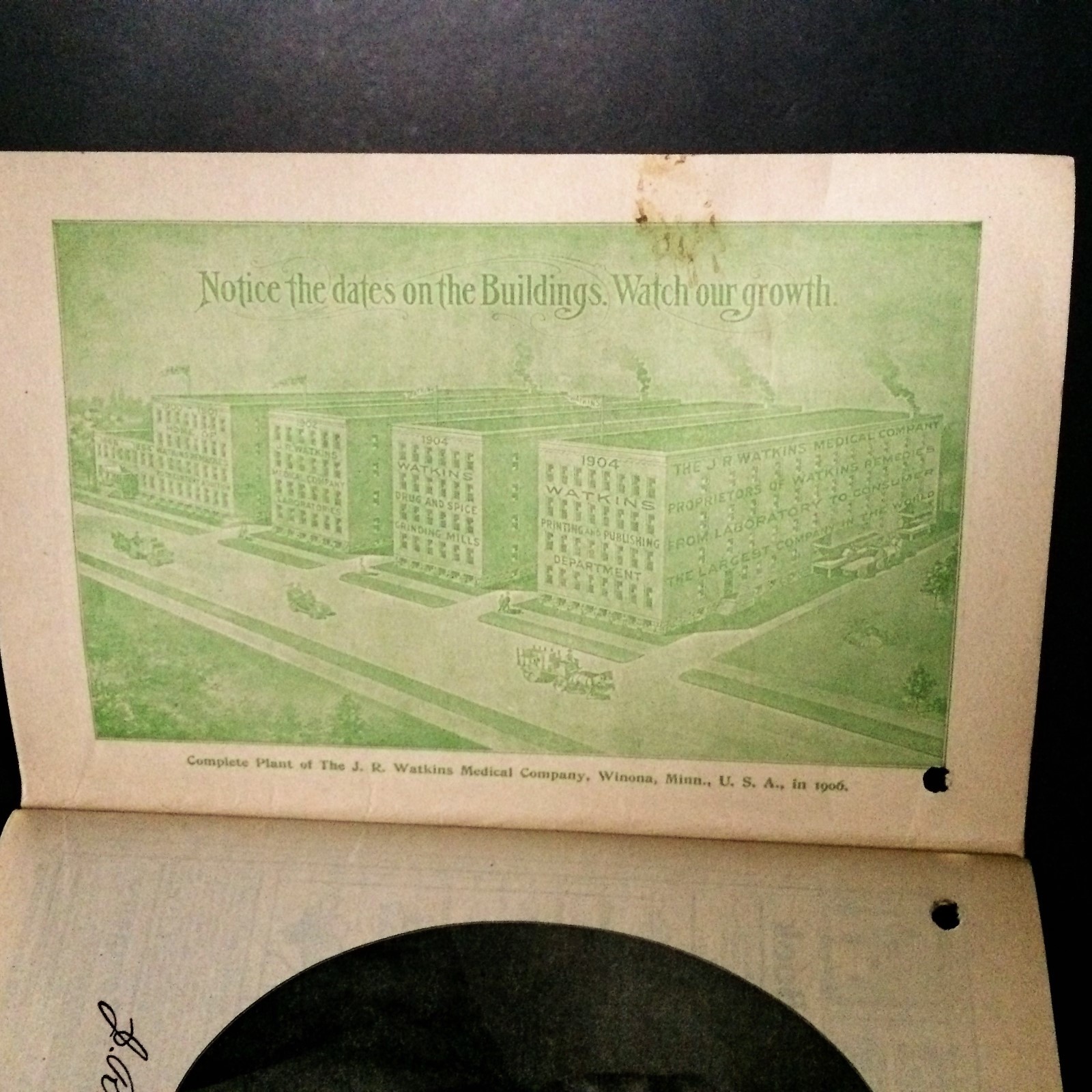 Watkins 1906 Almanac Home Doctor and Cook Book Remedies Medical Recipes Spices