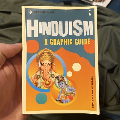 Introducing... Ser.: Introducing Hinduism : A Graphic Guide by Borin van Loon...