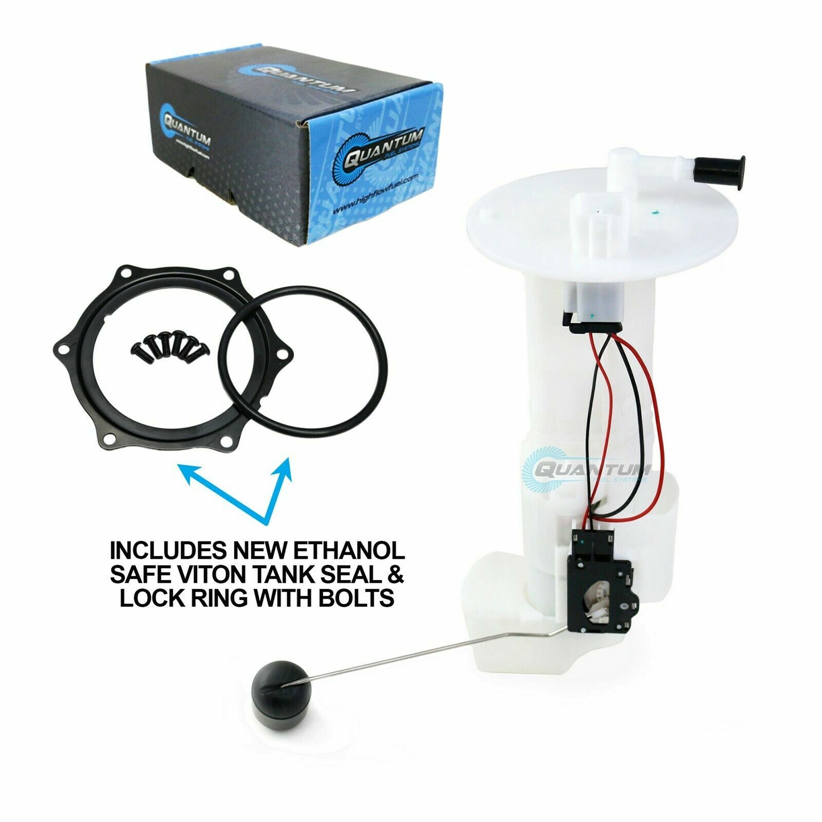 トモ　1/2 1750125952878_0586748834196777