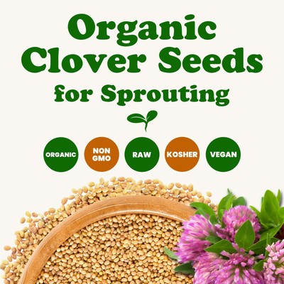 Organic Clover Sprouting Seeds – Non-GMO, Kosher, Vegan, Raw – by Food to Live