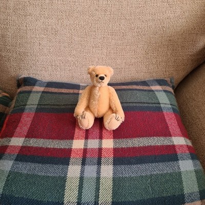 Foto dell'oggetto di un acquirente verificato