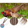 MAOFENG 12pcs Natural Feathers Female Ringneck Pheasant Tails Feathers 12-14inch 30-35cm for Crafts Wedding Party Performance Home DIY Decoration,Female Pheasant Feathers