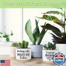You're Awesome Funny Succulent Plant Pot, Cute 3.5 Inch Small Ceramic Cactus Planter Pot with Drainage, Home Office Desk Decor for Friends Coworker Birthday Christmas Housewarming Gifts (No Plants)