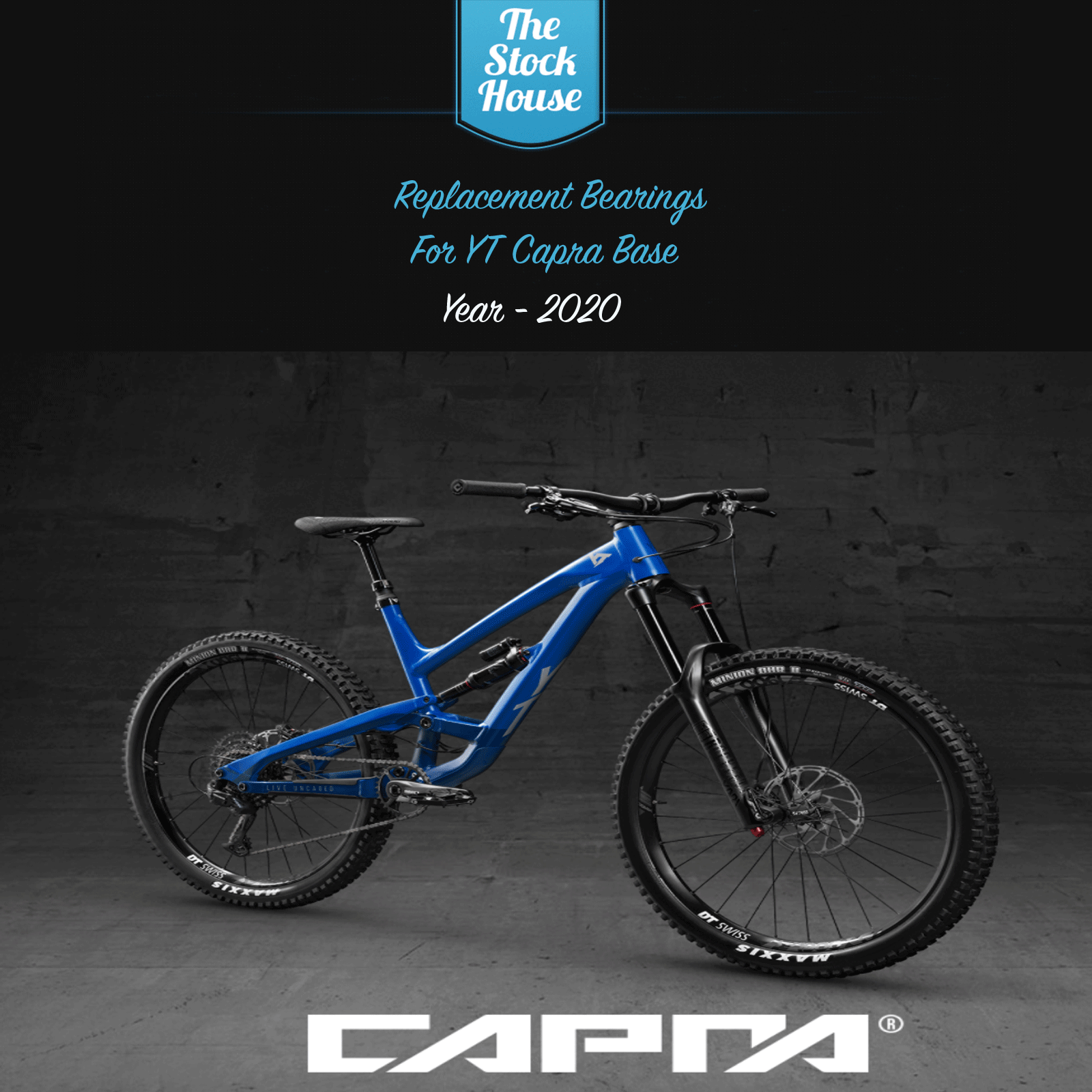 yt capra frame