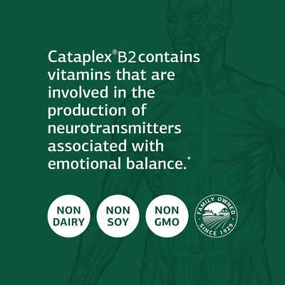 Standard Process Cataplex B2 - Whole Food Nervous System Supplements 90 Tablets