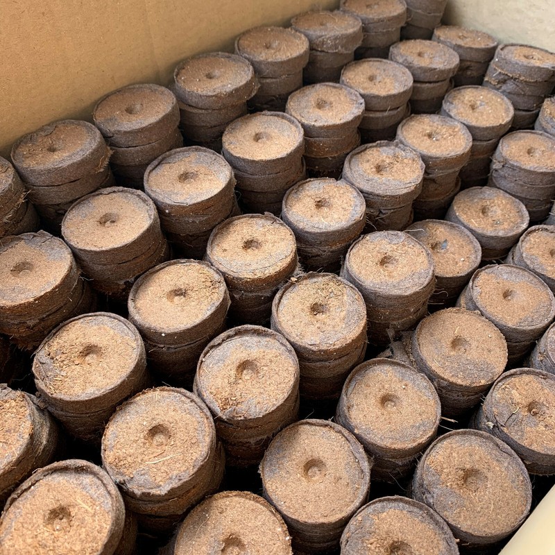 KokosquelltÃ¶Pfe 36mm, Kokos-Quelltabs QuelltÃ¶Pfe Torffrei 10/24/48/125/1500 St.