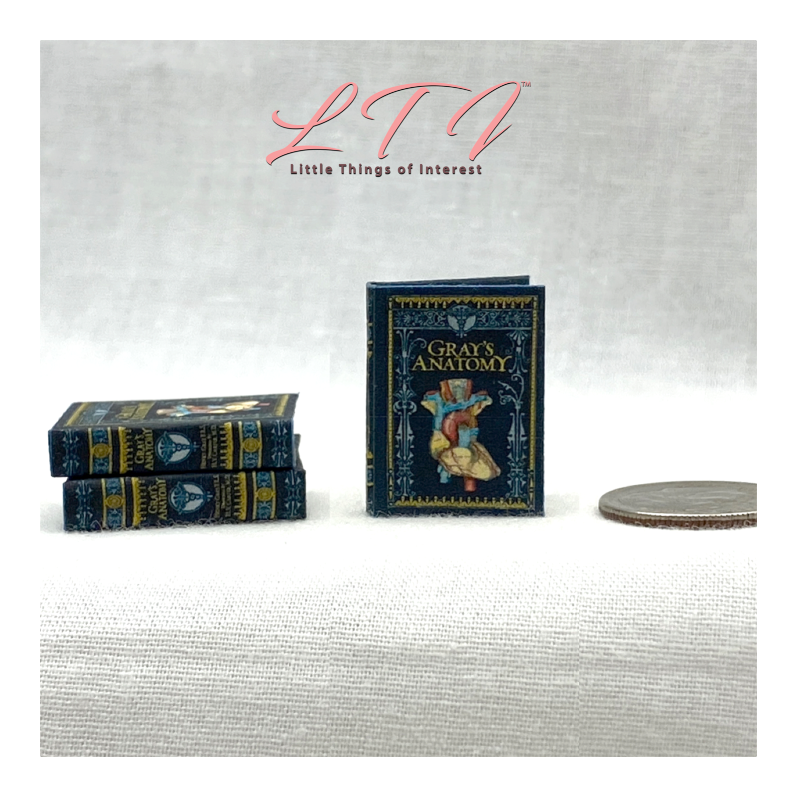 GRAY'S ANATOMY MEDICAL 1:12 Scale Miniature Readable Illustrated Book Doctor