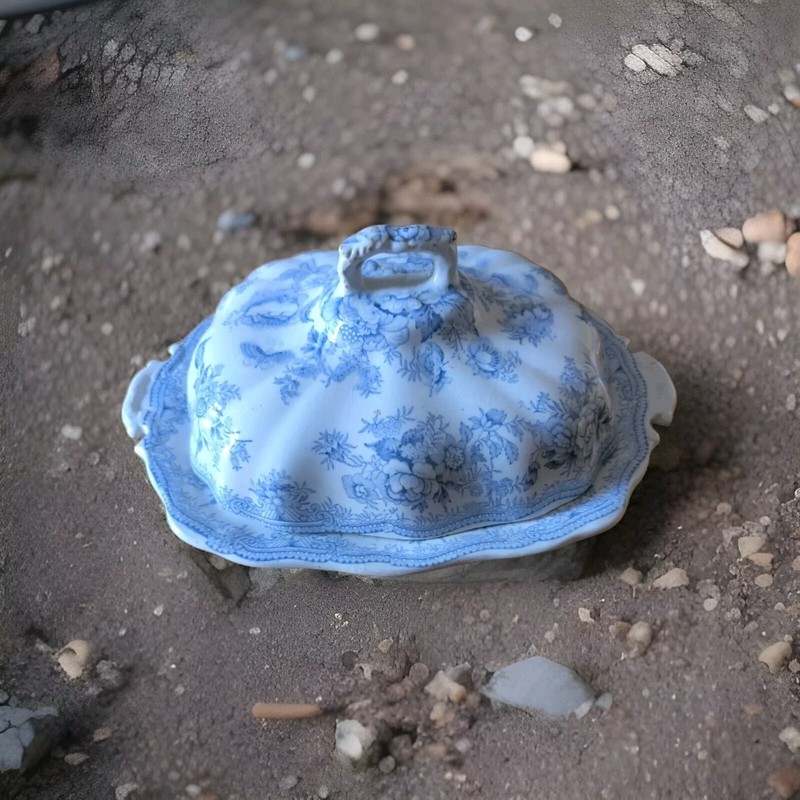 Doulton LÃ©Gumier En FaÃ¯Ence ModÃ¨Le Asiatic Pheasants Bleu DÃ©Cor Floral  XixÃ¨Me