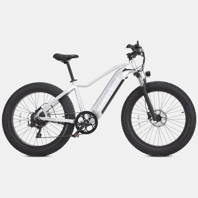 All Terrain Electric Bike 52V 20AH E bike Mountain Bicycle 26