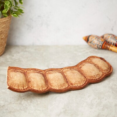 Natural Grown Seed Pod shaker Approx 50cm