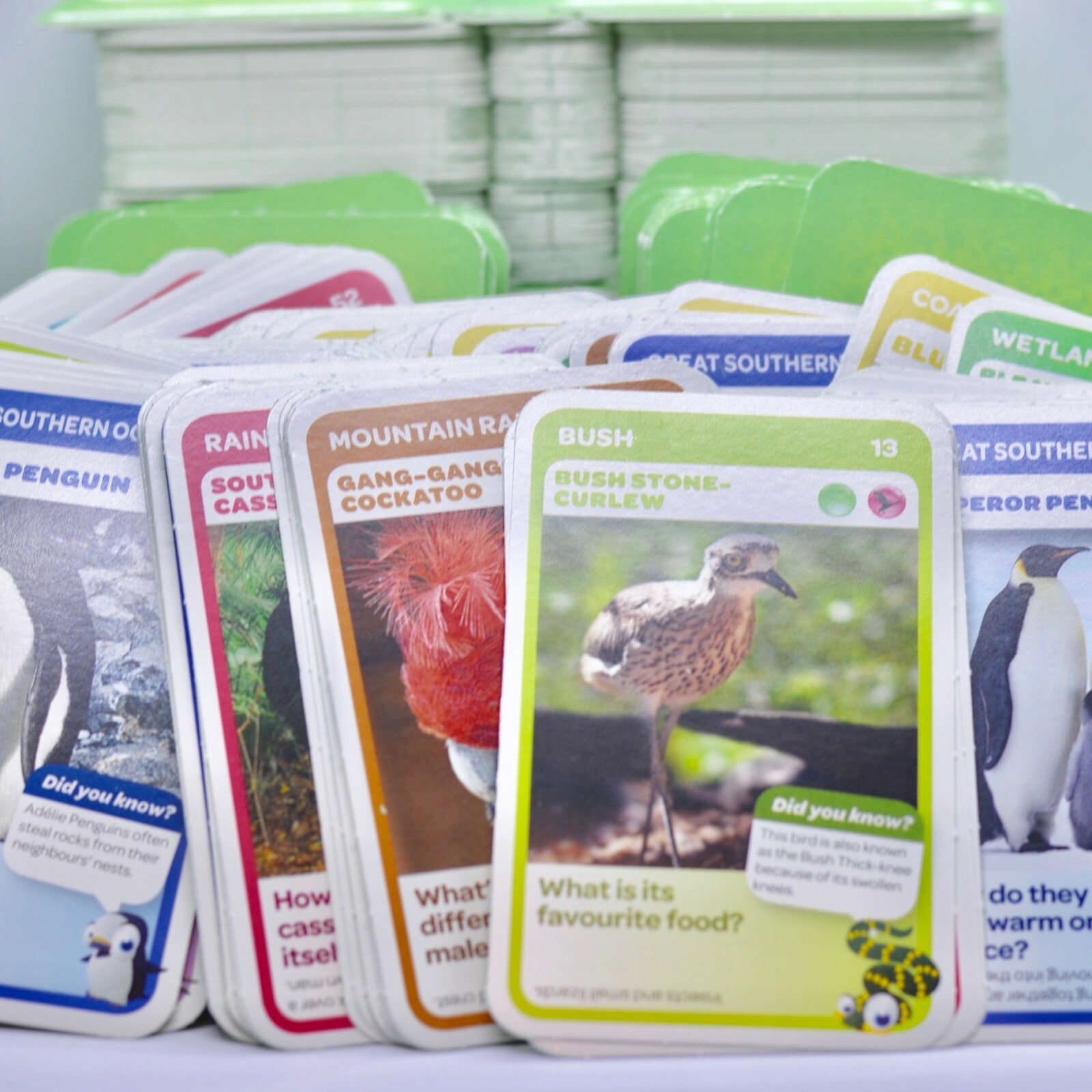 Woolworths Aussie Animals Cards - (Green) HEAPS! BUY MORE Woolworths Aussie Animals Cards - (Green) HEAPS! BUY MORE