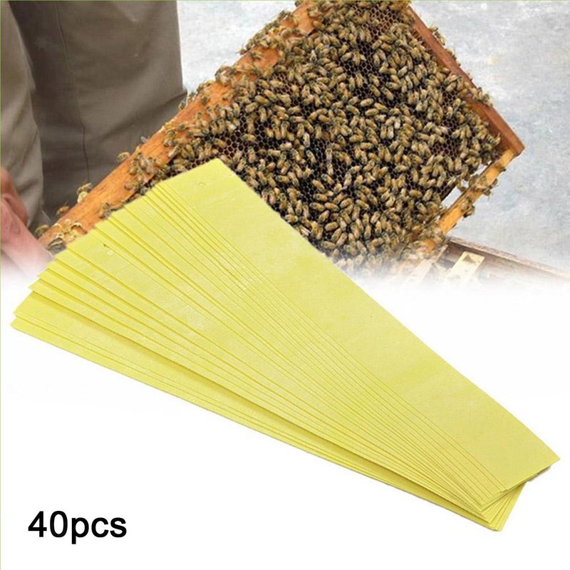 Bande De Fluvalinate D'Apiculture Professionnelle De 40 Bandes, Fournitures De