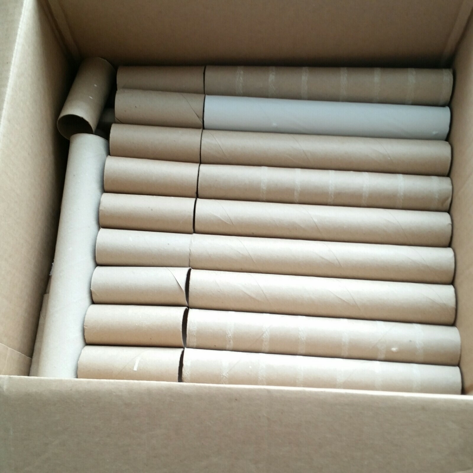 Empty Cardboard Rolls 200 Paper Towel Toilet Paper Tubes for Crafts