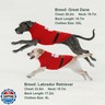 Dog Sweater Knitted for Small to Large Dogs Boy Girl, Classic Turtleneck Dog Christmas Sweaters, Warm and Soft Pet Clothes for Winter (Santa Claus, 2XL)