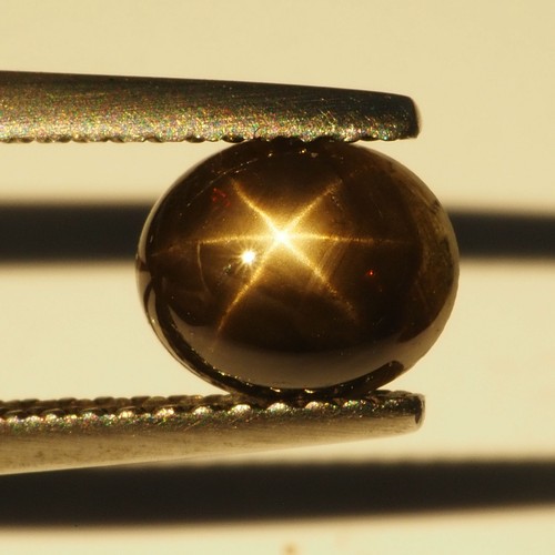 1.52Ct Black Star Sapphire THAILAND Loose Gemstone 7.4 x 6.1 mm.