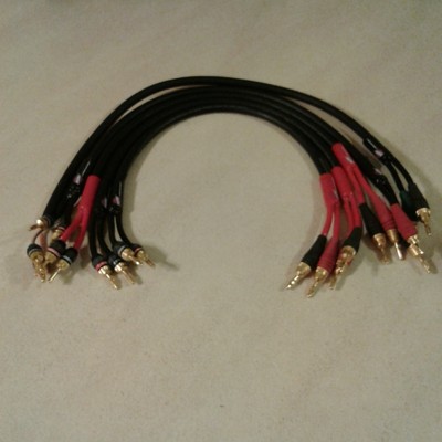 monster cable z series z1r