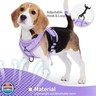 Jolifield No Pull Dog Harness with Leash Set for Small Sized Dog, Reflective Adjustable No Choke Front Clip Cat Vest Harness with Breathable Mesh, Comfortable Soft Padded Pet Vest, Purple S