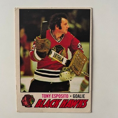 1977 O-Pee-Chee Hockey #170 Tony Esposito