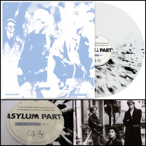 ASYLUM PARTY Some Grey Mornings Vol 1 LP Vinyl-Mary Goes