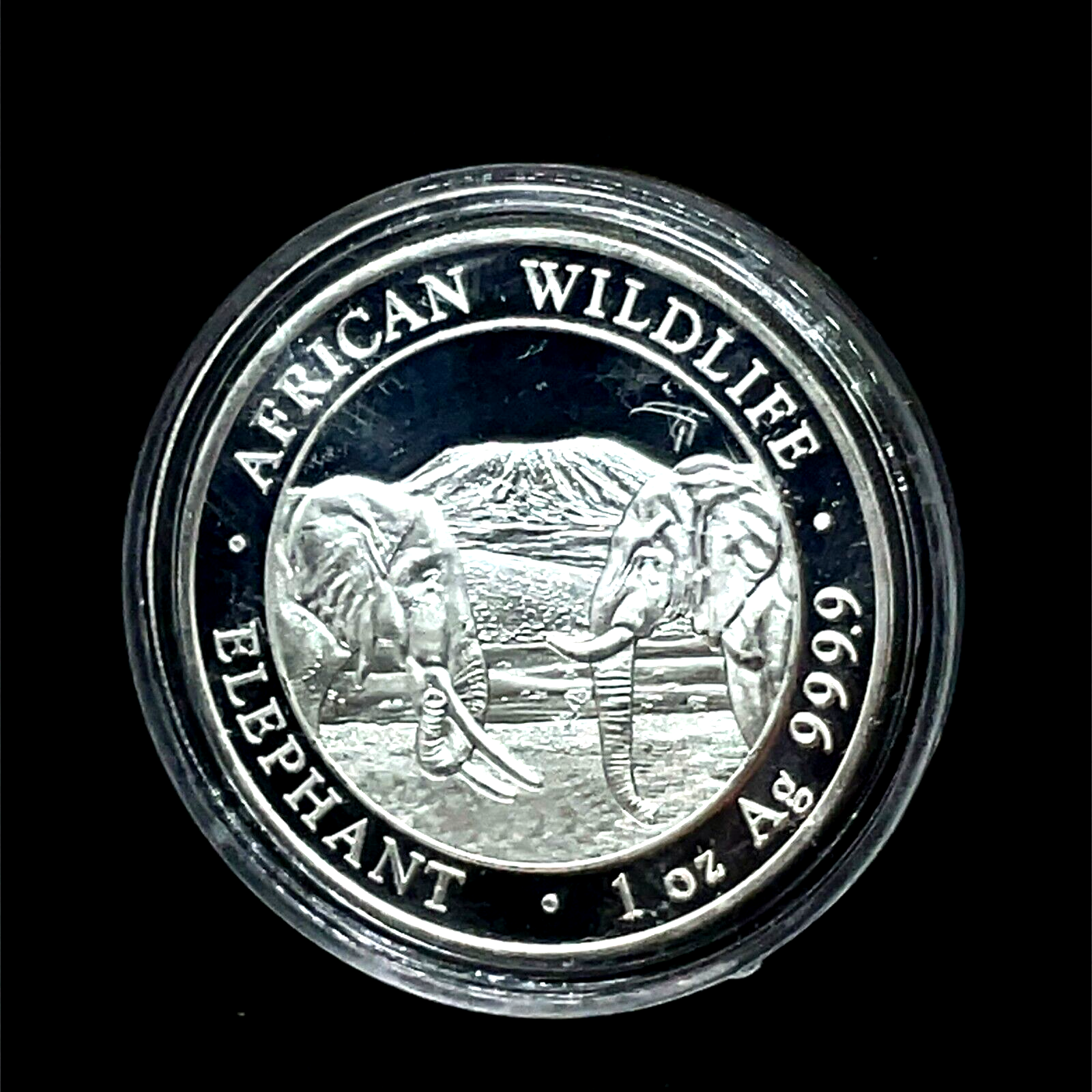 2020 Somalia 100 Shillings African Wildlife 999 Silver Proof  Elephant Coin
