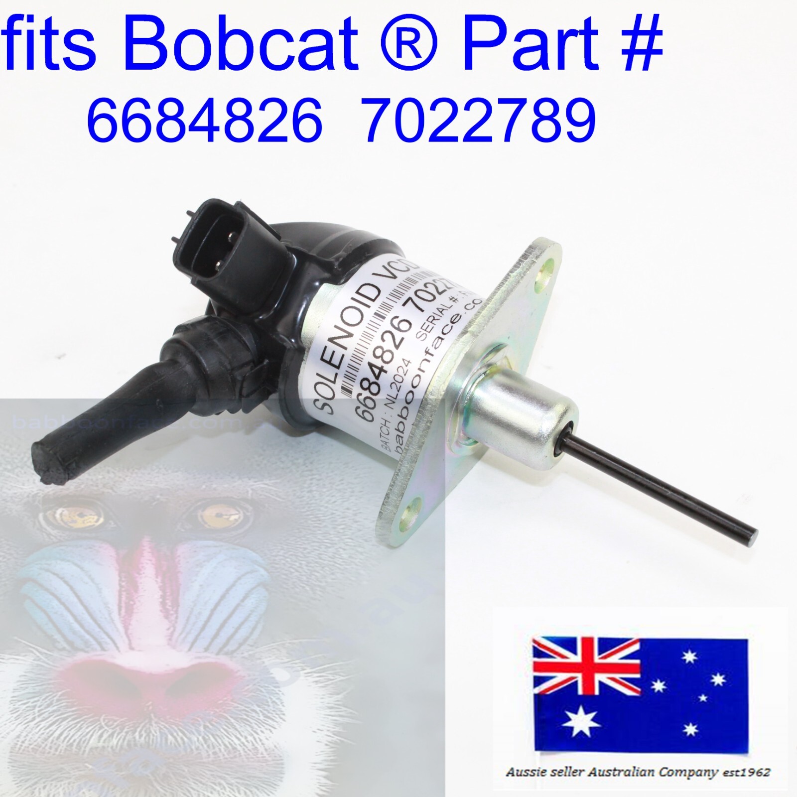 nnn Rottefella NNN BC Manual Binding: akers-ski.com