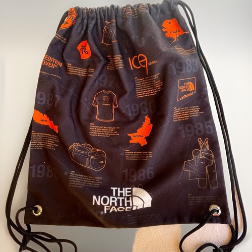 【送料&関税込】The North Face Logo Detailed Drawstring Shor $_12.JPG?set_id=880000500F