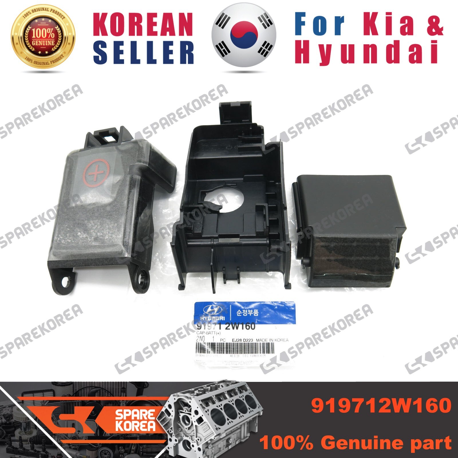$_57.JPG?set_id=880000500F