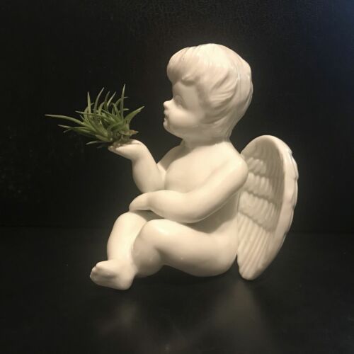 Tilla Critters Angel's Kiss One of a Kind Airplant Creations b...