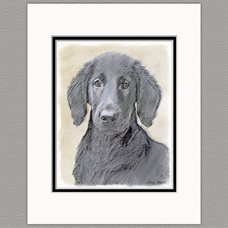 Flat-Coated Retriever Dog Original Art Print 8x10 Matted to 11x14