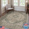 Washable Rugs 8X10 Area Rugs for Living Room, Thin Indoor Chenille Low Pile Rug for Bedroom Rug, Vintage Boho Lightweight Carpet for Dining Room Kitchen Office Floor, Oatmeal Gray