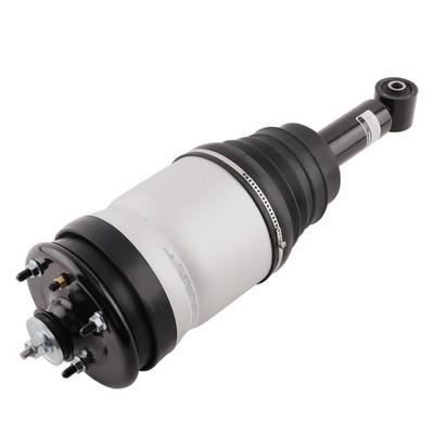 Arrière Air Suspension Ressort Struts for Range Rover Sport Discovery LR3 2009