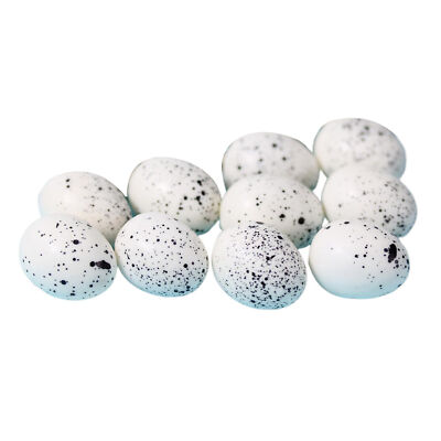 10 Pcs Fake Quail Eggs Vivid Yard Decor Mini Simulated Bird Eggs Figurines Photo