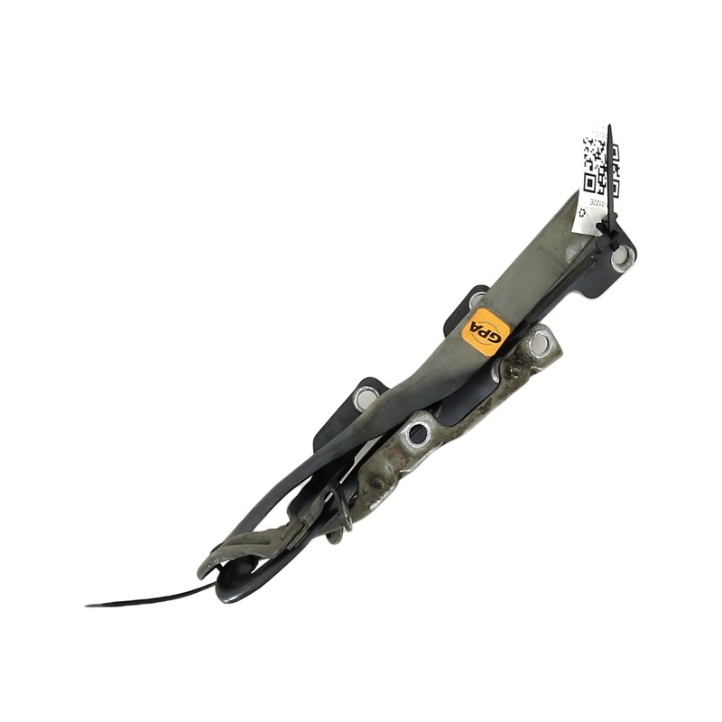 CharniÃ¨Res De Capot - Peugeot 207 Cc - 0000791297 - J1-0122e